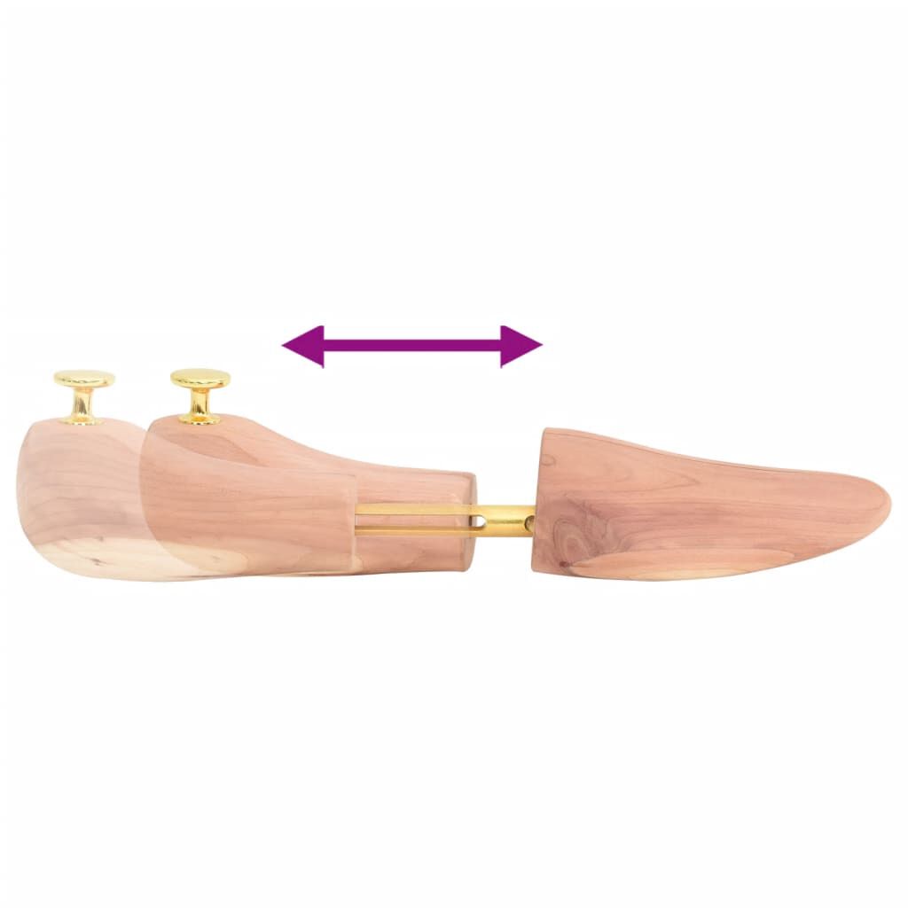 vidaXL Tendeur de chaussures avec chausse-pied EU 44-45 bois de cèdre